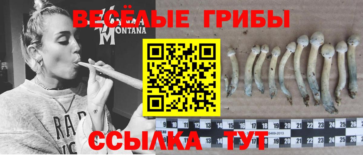 Галлюциногенные грибы ЛСД  Вход с VPN  Воткинск 